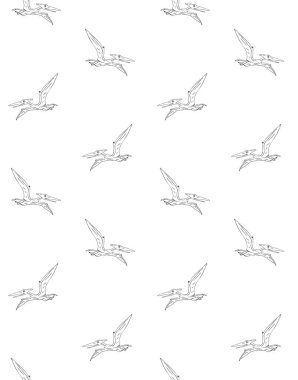 Pterodactyl ana hatlarının kusursuz şablonu