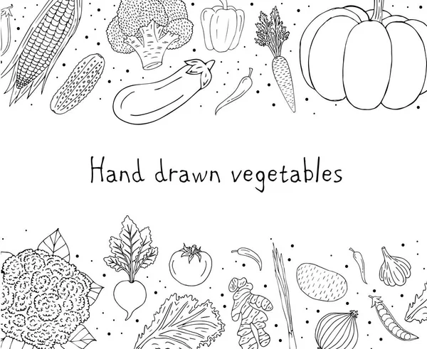 Векторный Ручной Рисунок Каракули Очертания Винтажная Рамка Набором Овощей Изолированы — стоковый вектор