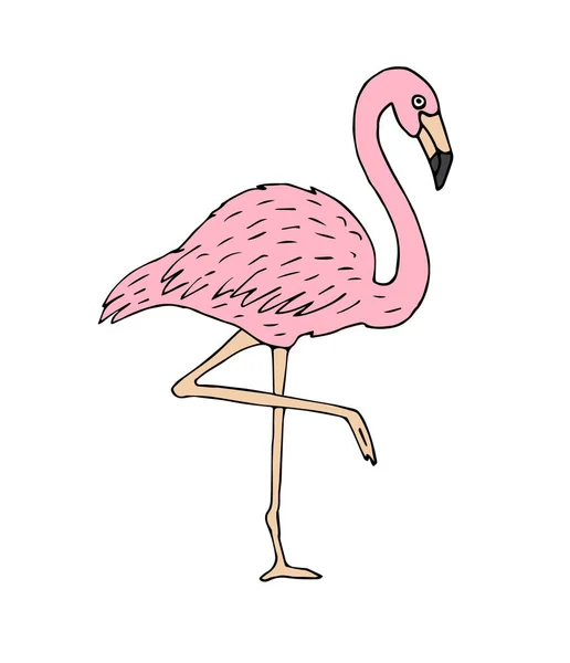 Vektor Rózsaszín Kézzel Rajzolt Vázlat Firka Flamingo Izolált Fehér Háttér — Stock Vector