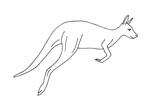 Vector Handgezeichnete Skizze Känguru Isoliert Auf Weißem Hintergrund — Stockvektor