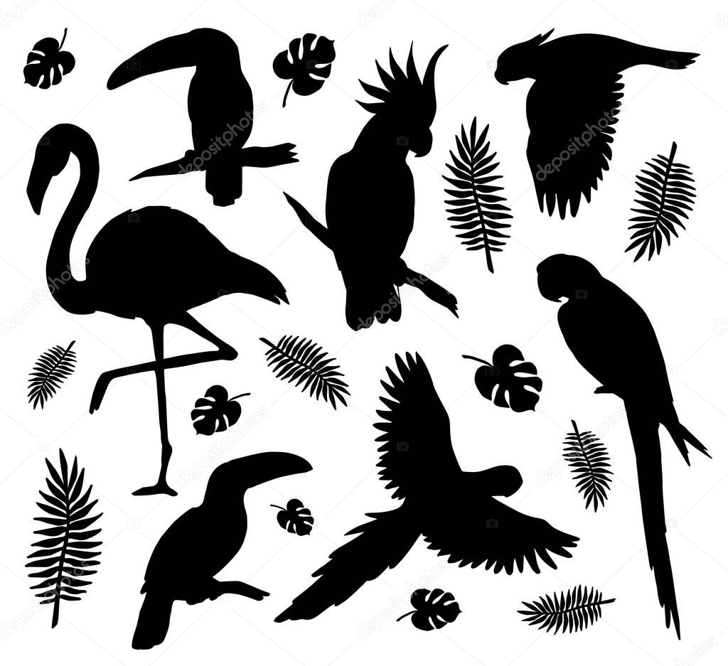 Vector set bundle of black tropical birds silhouette isolated on white background
