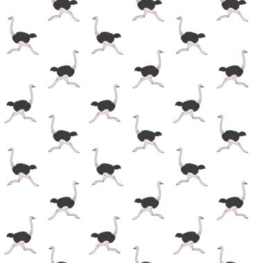 El çiziminin kusursuz deseni beyaz arkaplanda izole edilmiş karalama devekuşu.