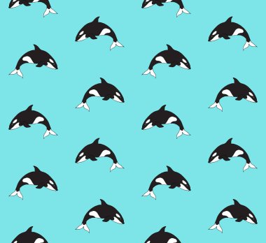 El çiziminin kusursuz çizimi. Katil balina daracık arka planda izole edilmiş.