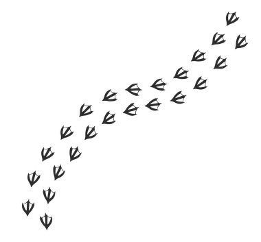 Beyaz arkaplanda izole edilmiş siyah düz ördek ya da kaz ayak izi yolu