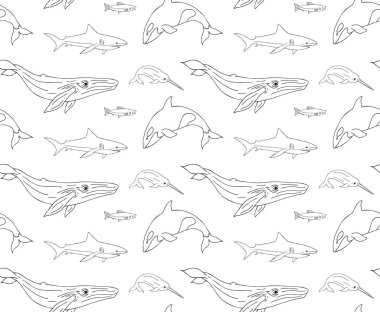 El çiziminin kusursuz çizimi. Beyaz arka planda izole edilmiş balık balinaları ve köpekbalıkları.