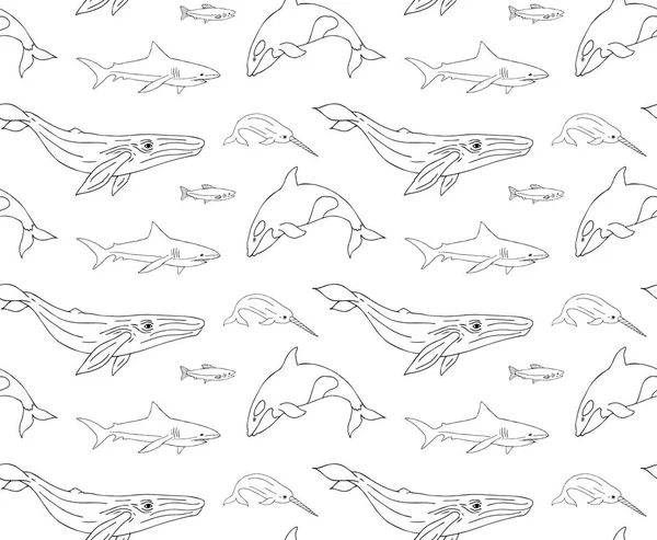 Vector Naadloos Patroon Van Handgetekende Krabbel Schets Vissen Walvissen Haaien — Stockvector