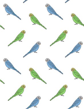 El çiziminin kusursuz şekli papağan.