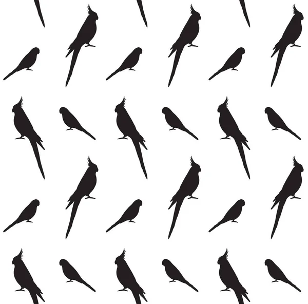 Seamless pattern of budgie cockatiel silhouette — 스톡 벡터