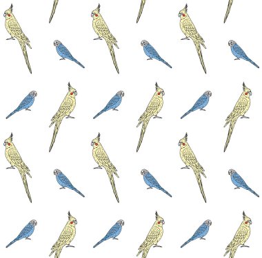 Renkli el çiziminin vektörsüz deseni beyaz arkaplanda izole edilmiş papağan ve papağan çizimi