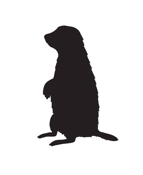 Vector Negro Marmota Marmota Silueta Aislada Sobre Fondo Blanco — Archivo Imágenes Vectoriales
