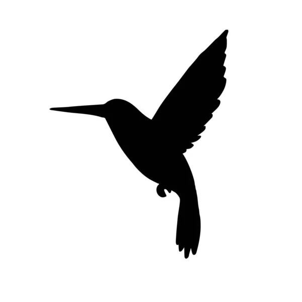 Silueta Colibrí Negro Vectorial Aislada Sobre Fondo Blanco — Archivo Imágenes Vectoriales