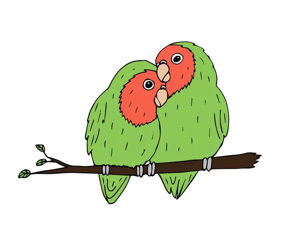 矢量手绘涂鸦素描绿色爱情鸟对偶在白色背景上隔离 — 图库矢量图片