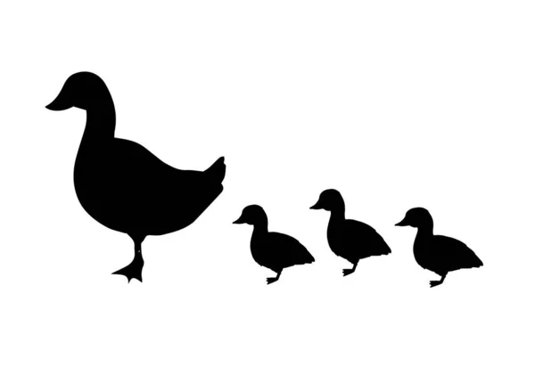 Silhouette Vectorielle Canard Noir Bébés Canetons Isolée Sur Fond Blanc — Image vectorielle