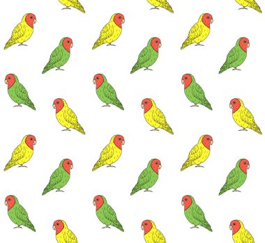 El çiziminin kusursuz çizimi. Beyaz arka planda izole edilmiş aşk kuşları çizimi.