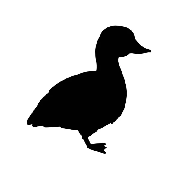 Vector Black Baby Duckling Duck Silhouette Isolated White Background — Stock Vector