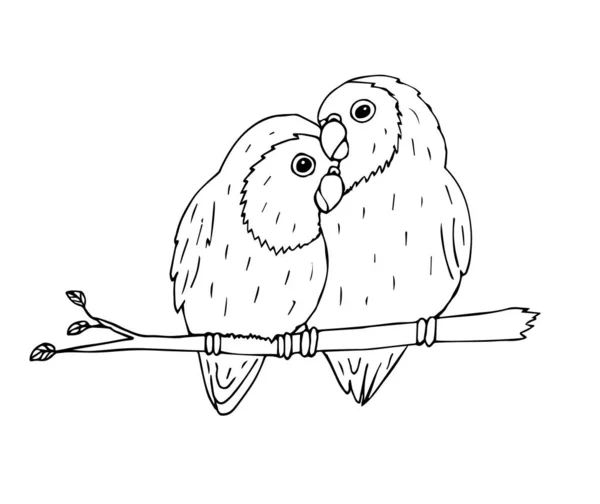 Ilustrație Vectorială Unei Păsări Drăguțe — Vector de stoc