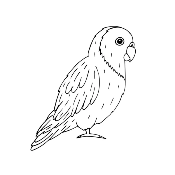 Icono Dibujo Vector Pájaro — Archivo Imágenes Vectoriales