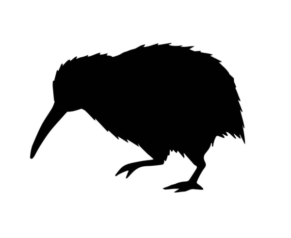 Vector Black Kiwi Bird Silhouette Isolated White Background — Stock Vector