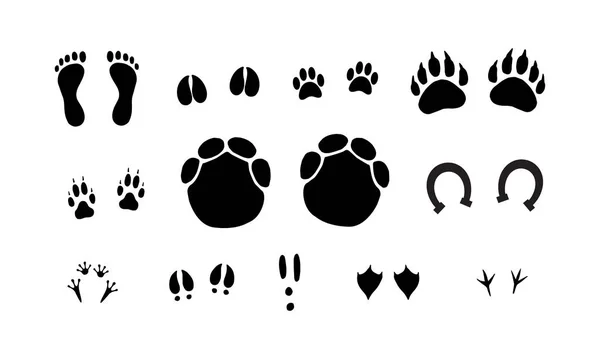 Vector Black Set Bundle Different Animals Foot Print Steps Isolated — Stock Vector