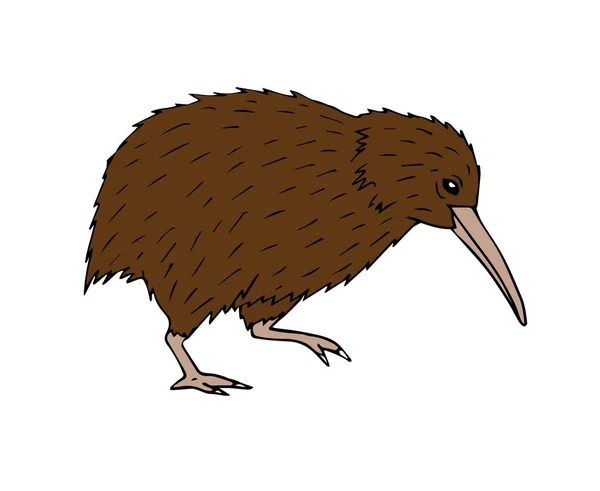 Vektor Farbigen Handgezeichneten Doodle Skizze Kiwi Vogel Isoliert Auf Weißem — Stockvektor