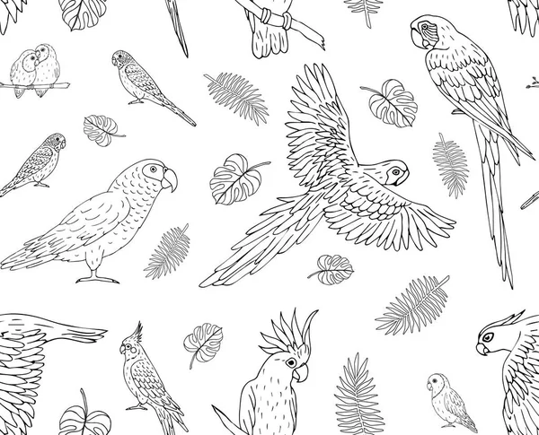 Vektor Nahtlose Muster Von Handgezeichneten Doodle Skizze Papageien Isoliert Auf — Stockvektor