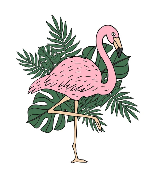 Векторный Рисунок Ручной Работы Цветной Розовый Фламинго Иллюстрацией Пальмовых Листьев — стоковый вектор