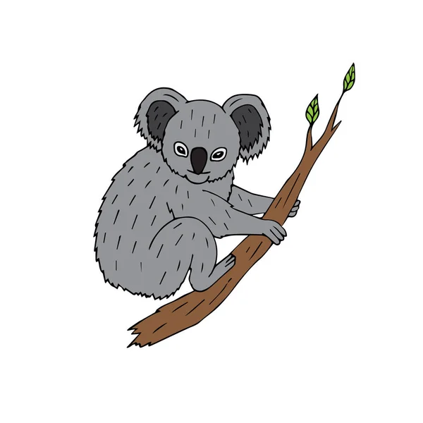 Vector doodle colored koala sitting on tree branch — 스톡 벡터