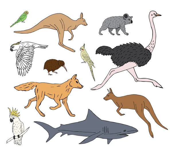 Conjunto Vectores Bosquejo Dibujado Mano Garabatos Animales Salvajes Australianos Aislados — Archivo Imágenes Vectoriales