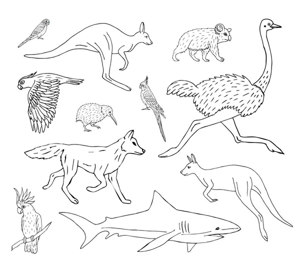 Conjunto Vectorial Bosquejo Garabatos Dibujado Mano Animales Salvajes Australianos Aislados — Archivo Imágenes Vectoriales