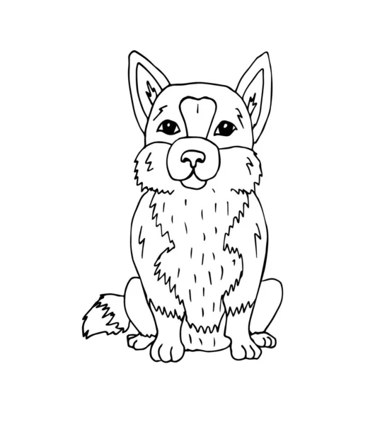 ベクトル手描きのドアスケッチ白い背景に隔離されたコーギー犬 — ストックベクタ