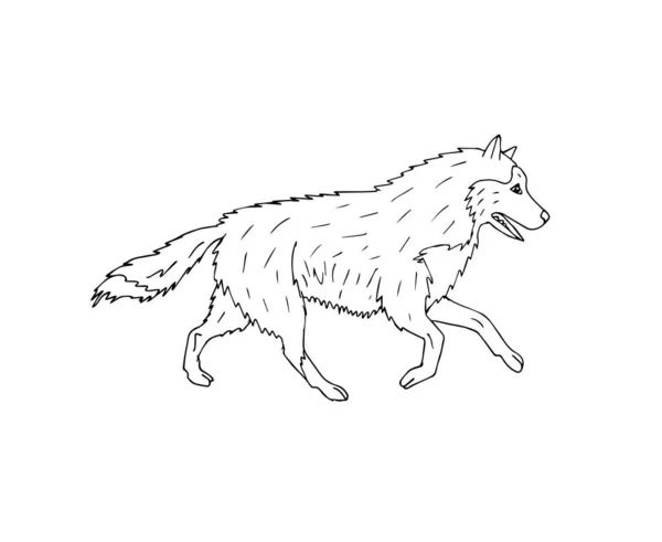 Vektor Ručně Kreslené Čmáranice Běží Husky Pes Izolované Bílém Pozadí — Stockový vektor