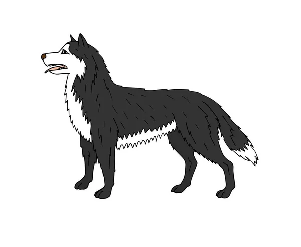 ベクトルカラーの手描きのドアスケッチ白地に隔離されたハスキー犬 — ストックベクタ