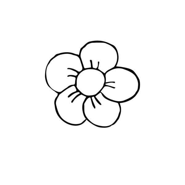 Διάνυσμα Χέρι Σχέδιο Σκίτσα Περίγραμμα Μαύρο Λουλούδι Απομονωμένο Λευκό Φόντο — Διανυσματικό Αρχείο