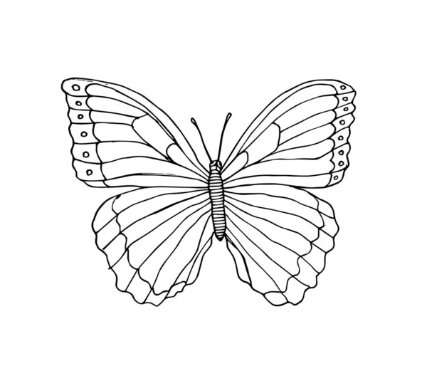 Ilustración Vectorial Una Mariposa — Vector de stock