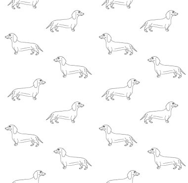 El çiziminin kusursuz deseni beyaz arkaplanda izole edilmiş dachshund köpeği çizimi