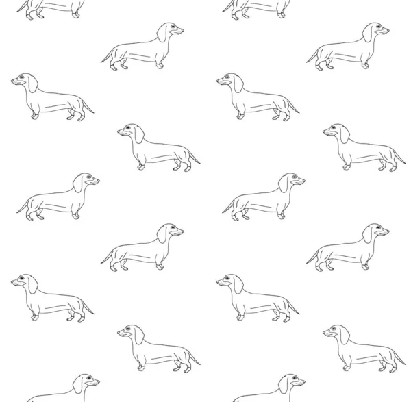 Vektor Nahtlose Muster Von Hand Gezeichnet Dackel Skizze Dackel Hund — Stockvektor