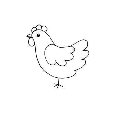 Vektör el çizimi. Beyaz arka planda izole edilmiş tavuk çizimi.