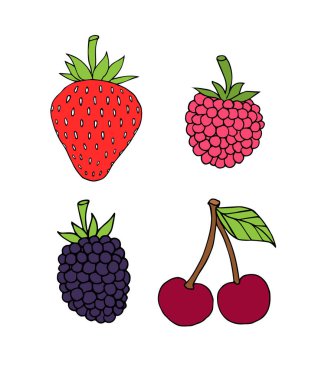 Renkli el çizimi vektör paketi beyaz arkaplanda izole edilmiş karalama böğürtlenleri