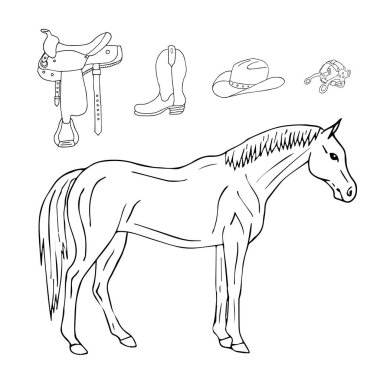 Atın vektör illüstrasyonu