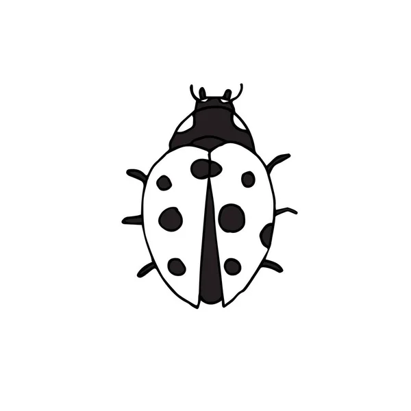 Icona Coccinella Stile Nero Isolato Sfondo Bianco Illustrazione Vettoriale Simbolo — Vettoriale Stock