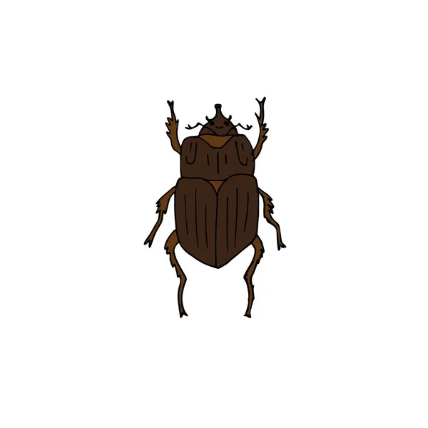 Skalbagge Insekt Ikon Vektor Illustration Grafisk Design — Stock vektor
