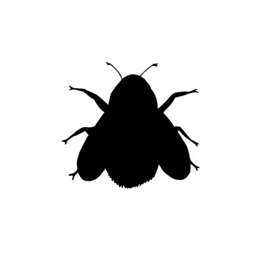 Böcek simgesi. Siyah illüstrasyon, grafik ve web tasarımı için beyaz arkaplanda izole edildi. vektör