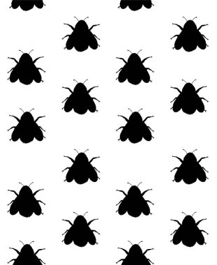Böceklerin siyah ve beyaz siluetlerinin vektör çizimi