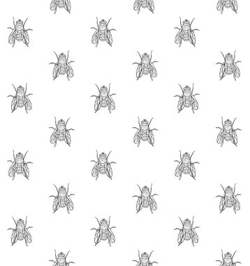 El çiziminin kusursuz deseni beyaz arkaplanda izole edilmiş sinek sineği çizimi.
