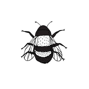 Vektör el çizimi beyaz arka planda yaban arısı çizimi