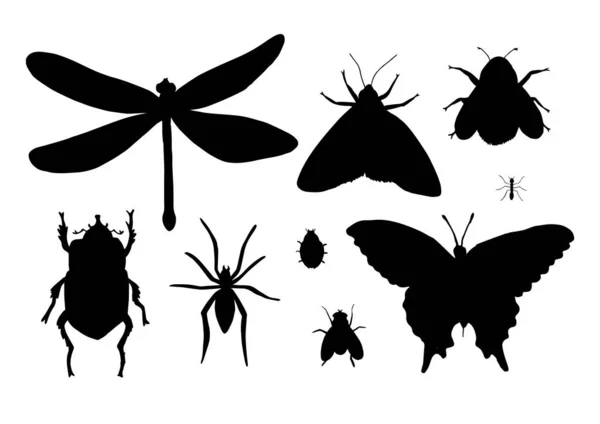 Conjunto Vectores Conjunto Silueta Insectos Boceto Negro Aislado Sobre Fondo — Vector de stock