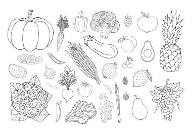 Vektör çizim sebze paketi