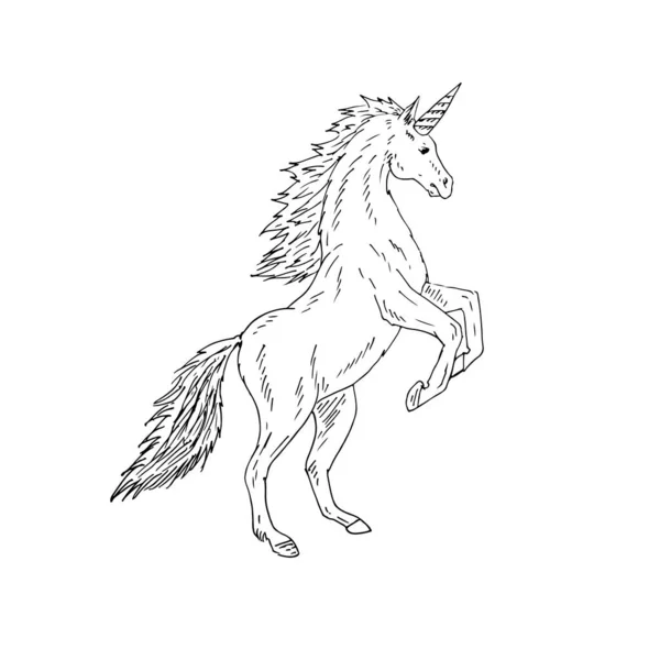Unicornio Logotipo Diseño Plantilla Vector Ilustración — Archivo Imágenes Vectoriales