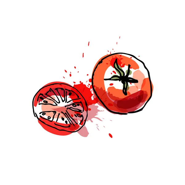 Tomato, drawing by watercolor and ink with paint splashes on white background.Ve