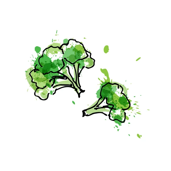 Broccoli, tekening door aquarel en inkt met verf spatten op witte achtergrond. — Stockvector